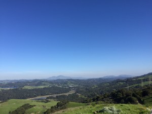 2015-03-08 16.16.10
