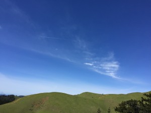 2016-03-27 13.07.53