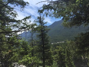 2016-06-07 14.08.24