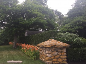 2016-07-09 12.06.27