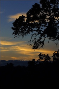  Db9 D30-20 Big-Sur-Sunset-Nepenthe