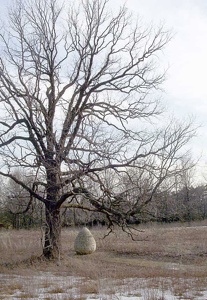  Wikipedia Commons 0 0A Andy-Goldsworthy-At-Suny-Purchase