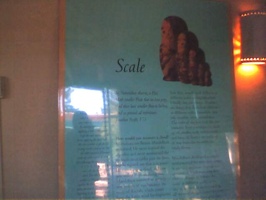 Sfi-Scale-1