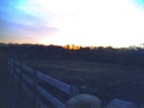 Sunsetfarm-1